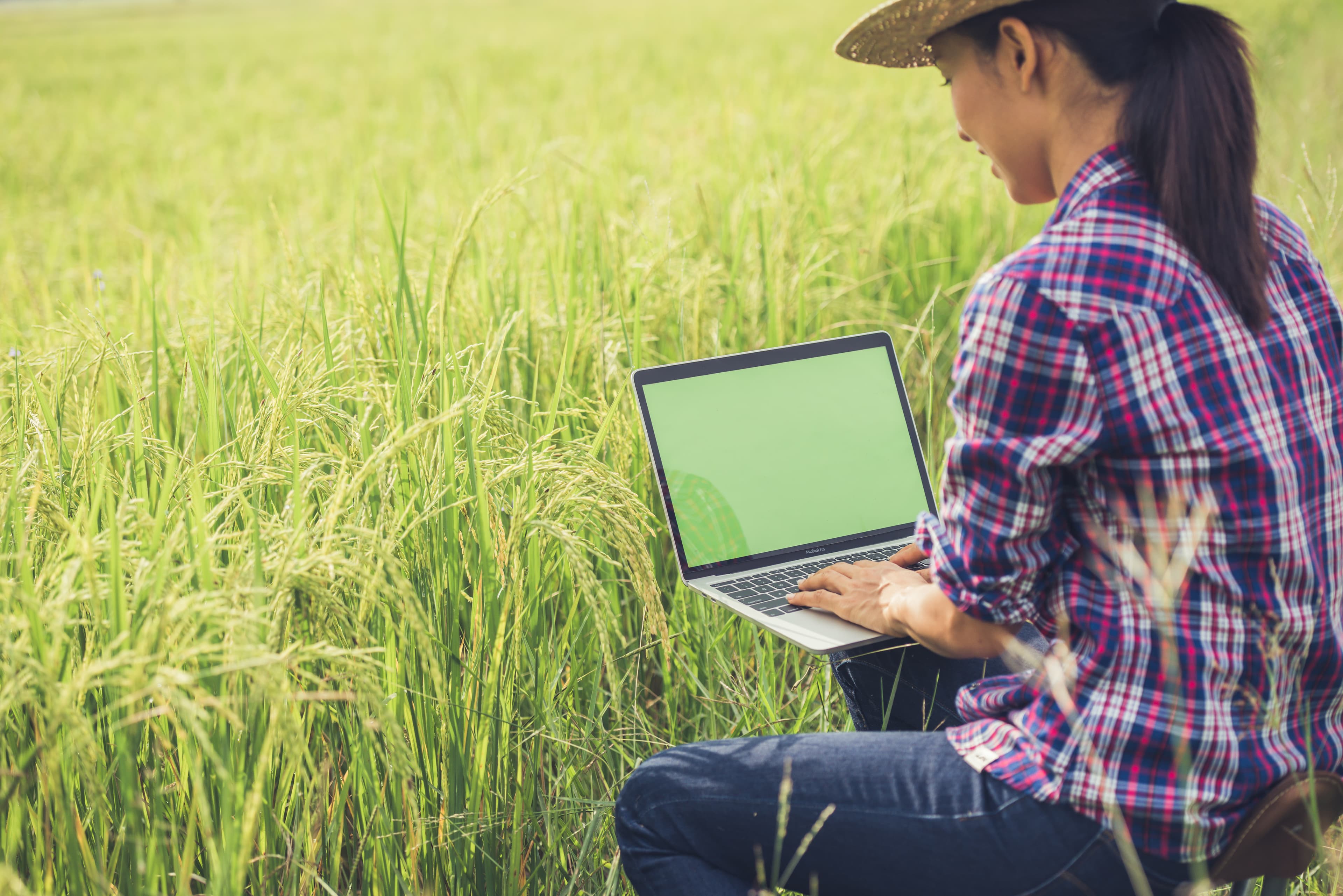 Agriculture